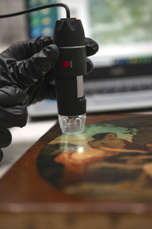 Analyses-surface-microscope-restauration-conservation-tableau